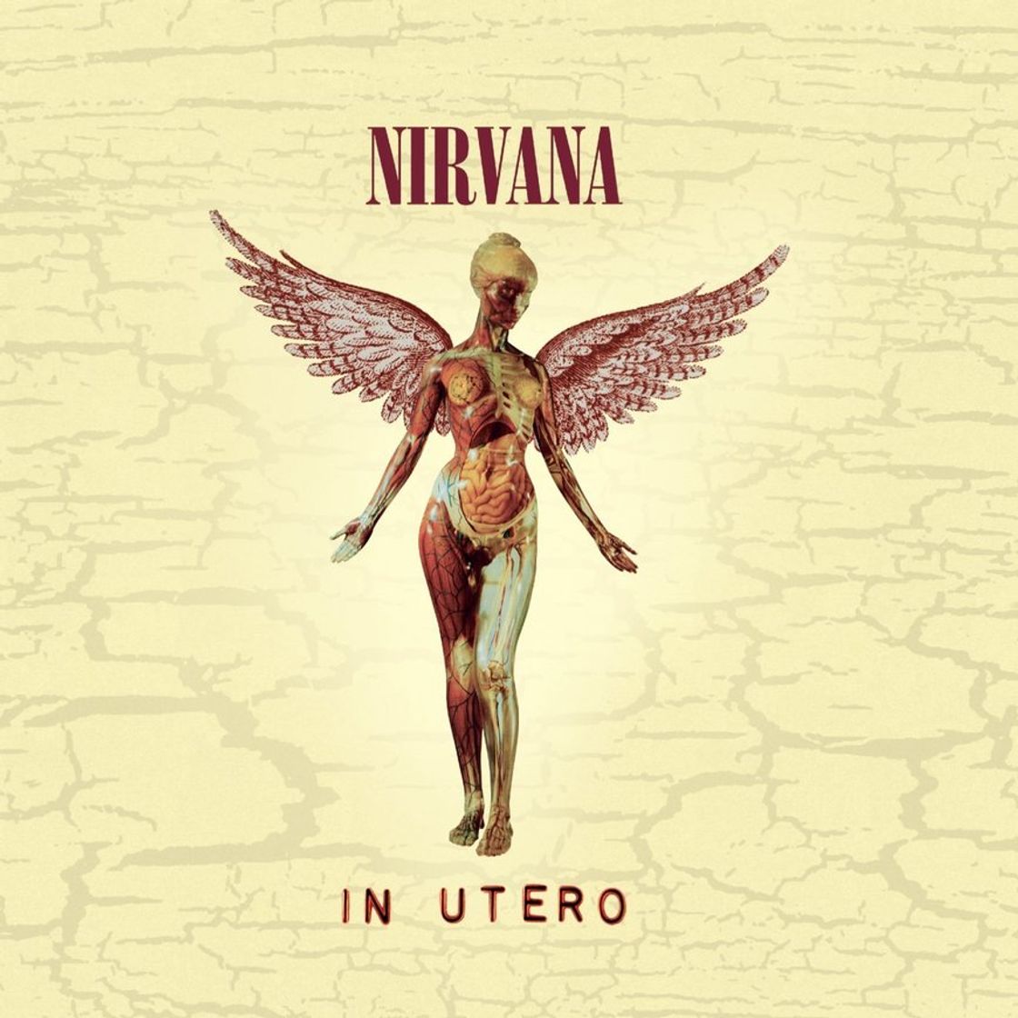 Canción In Utero