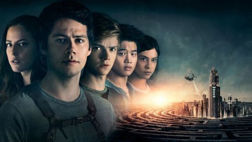 The Maze Runner