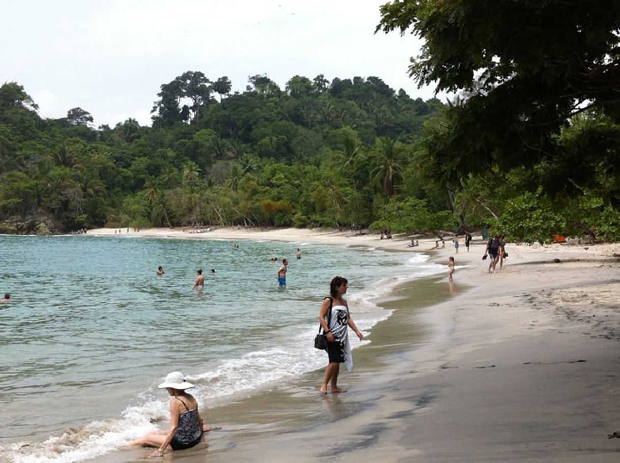 Place Manuel Antonio