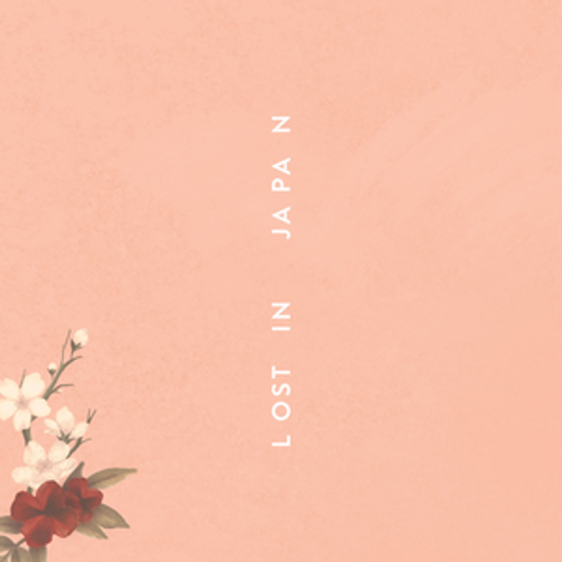 Books Lost in Japan - Shawn Mendes