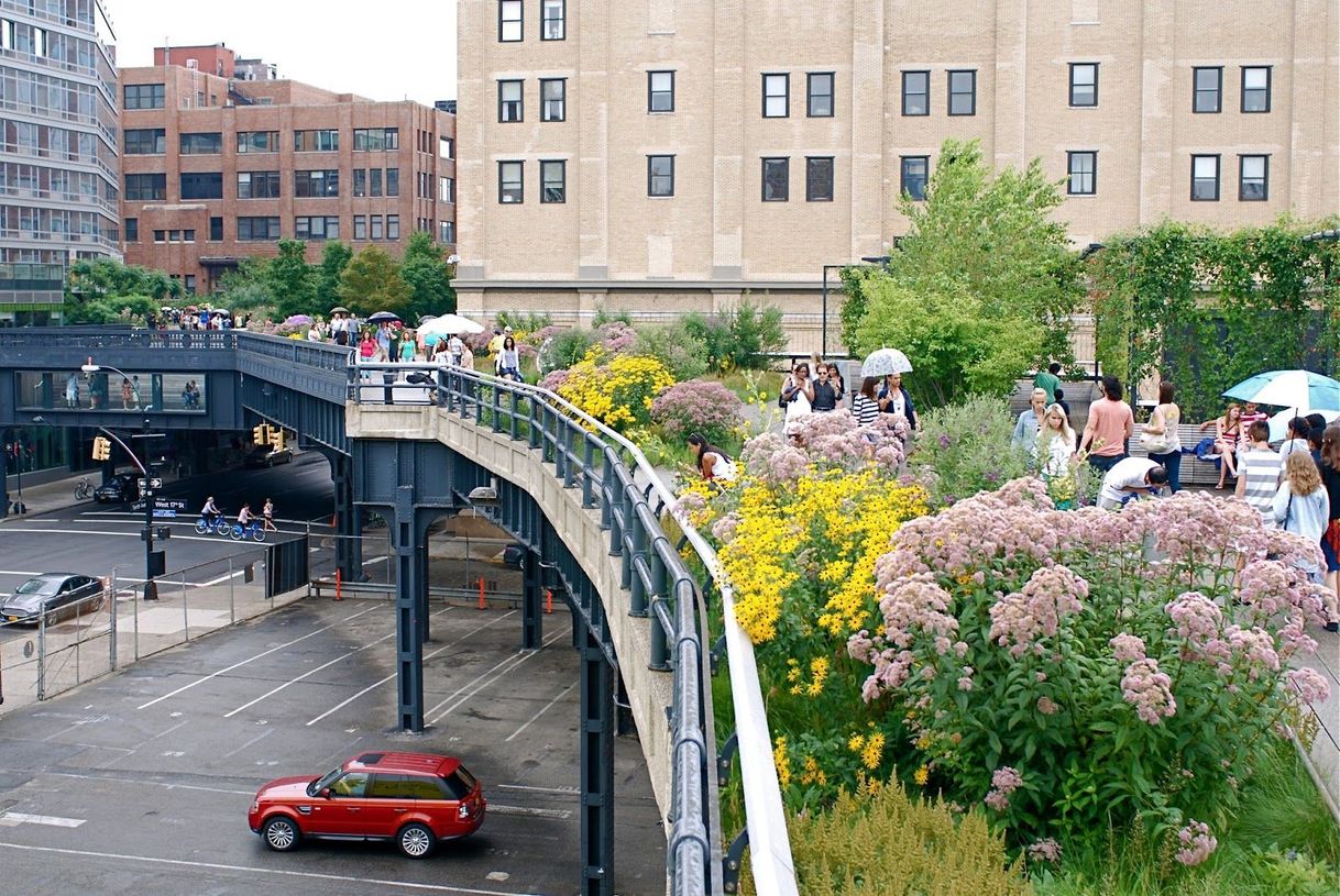 Place The High Line