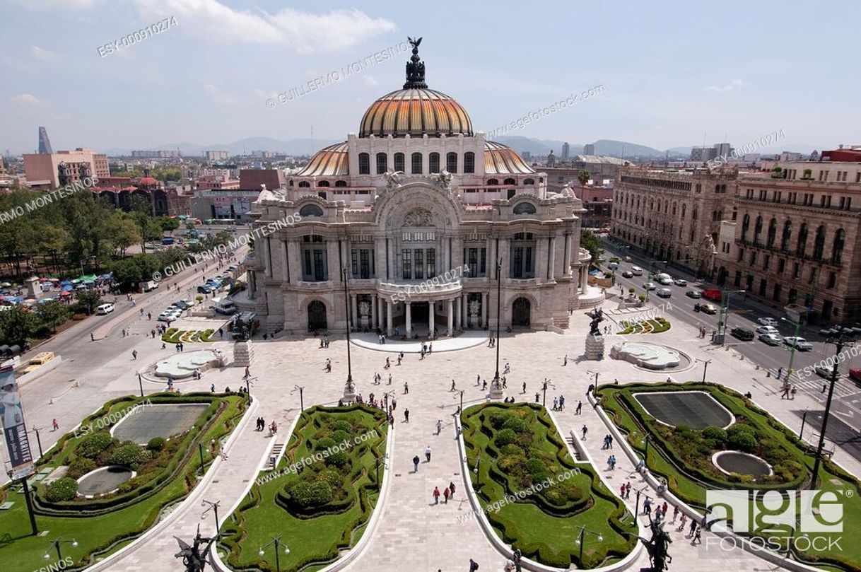 Lugar Palacio de Bellas Artes