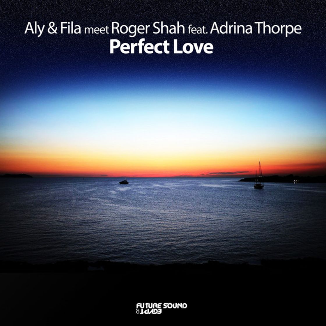 Music Perfect Love - Radio Edit