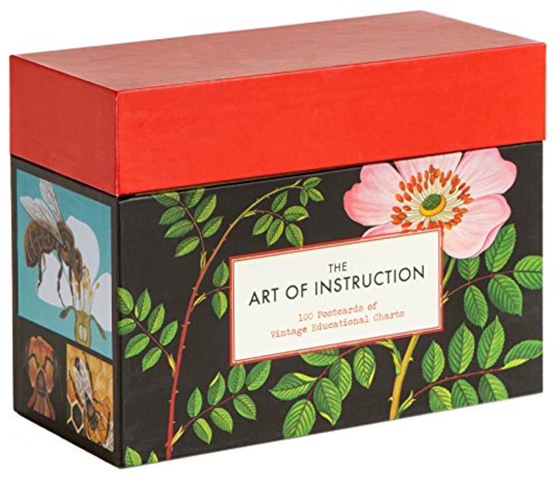 Book The Art of Instruction: 100 Postcards of Vintage Educational Charts