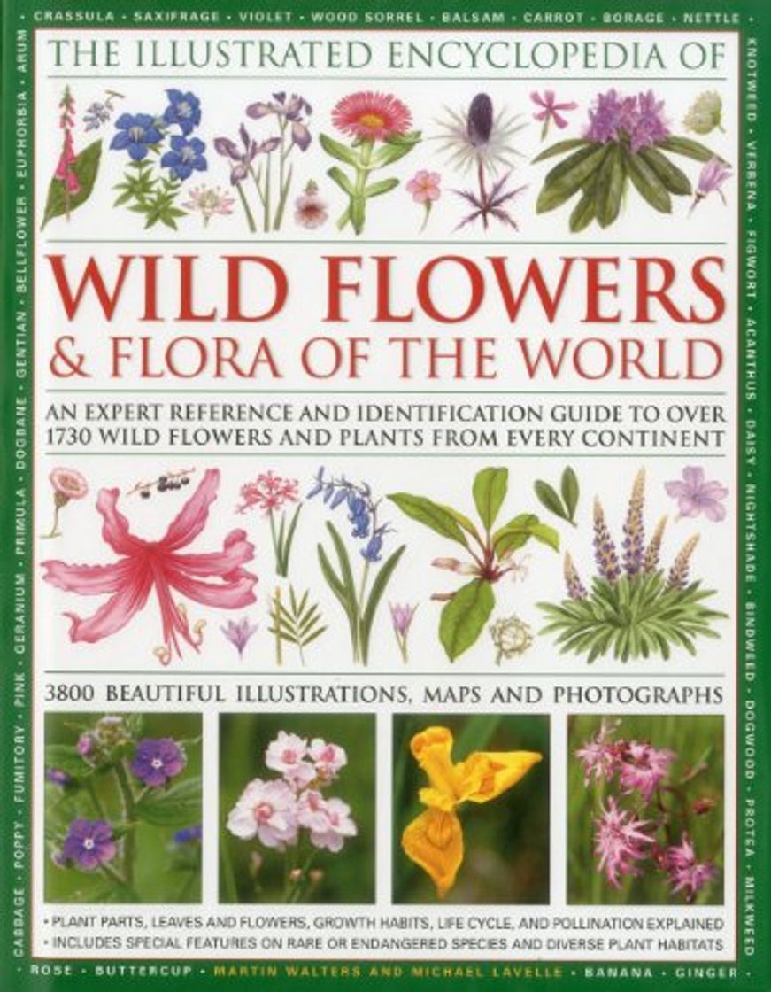 Book Illustrated Encyclopedia of Wild Flowers & Flora of the World