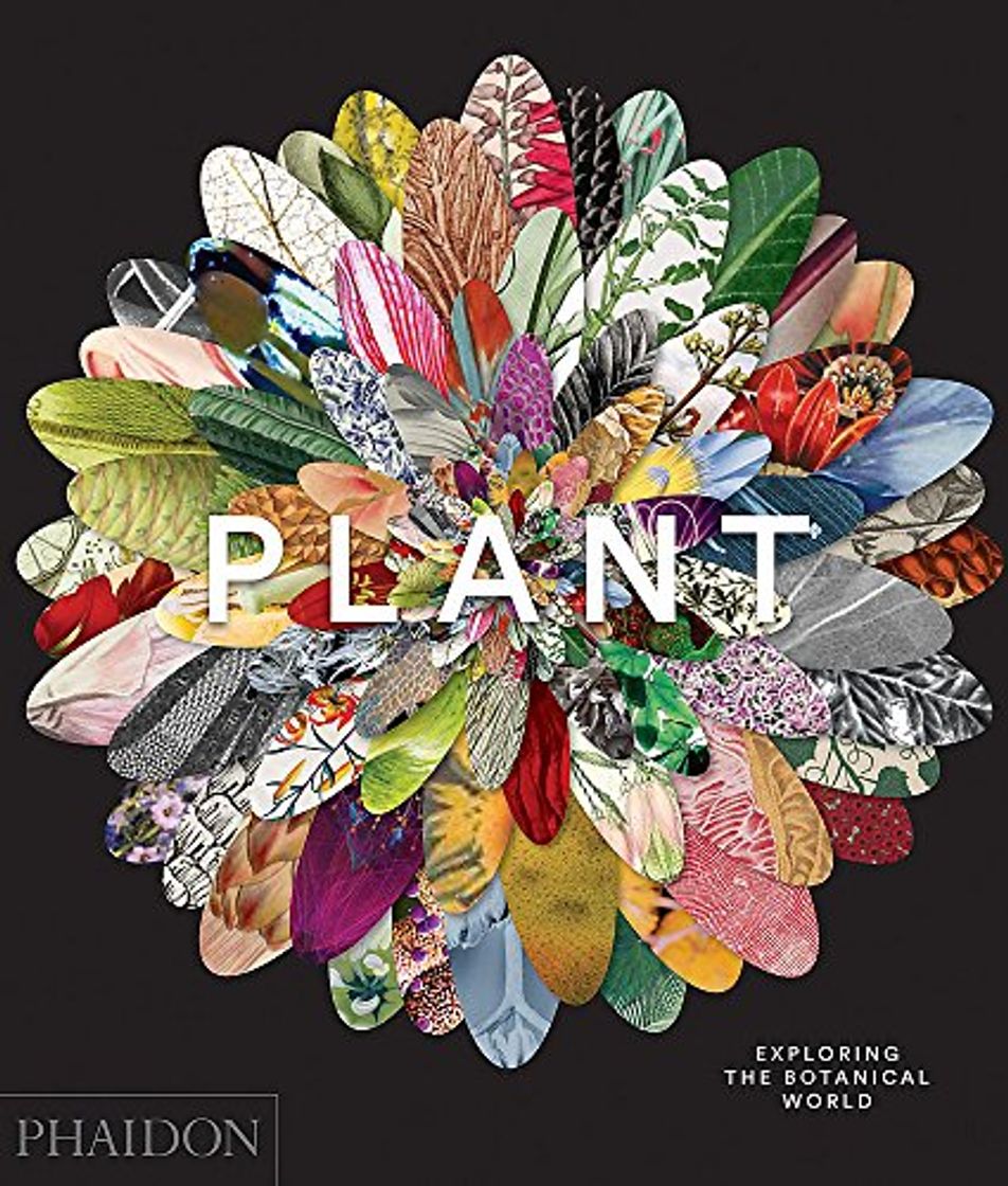 Book PLANT: EXPLORING THE BOTANICAL WORLD