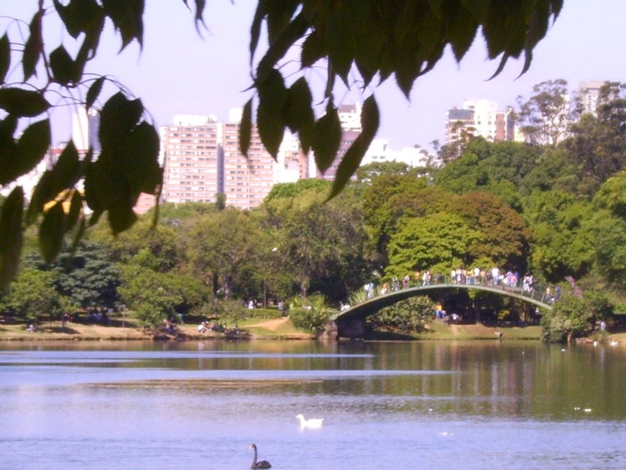 Place Parque Ibirapuera