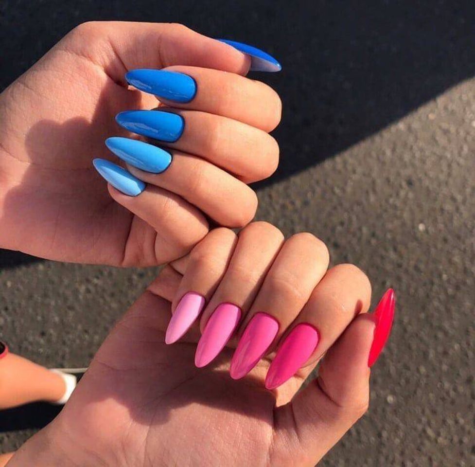 Fashion Pink and Blue