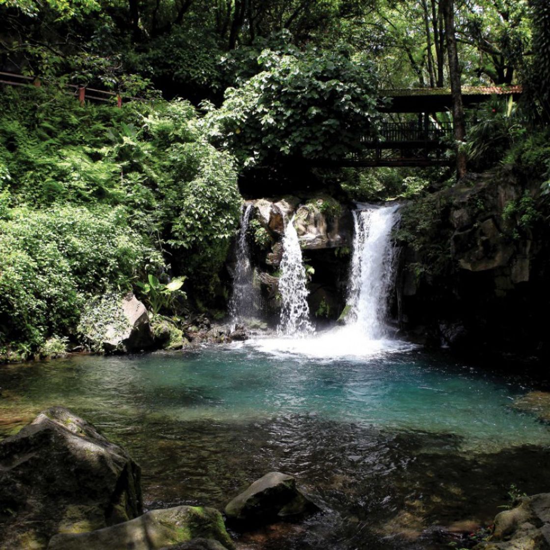 Lugar Parque Nacional De Uruapan