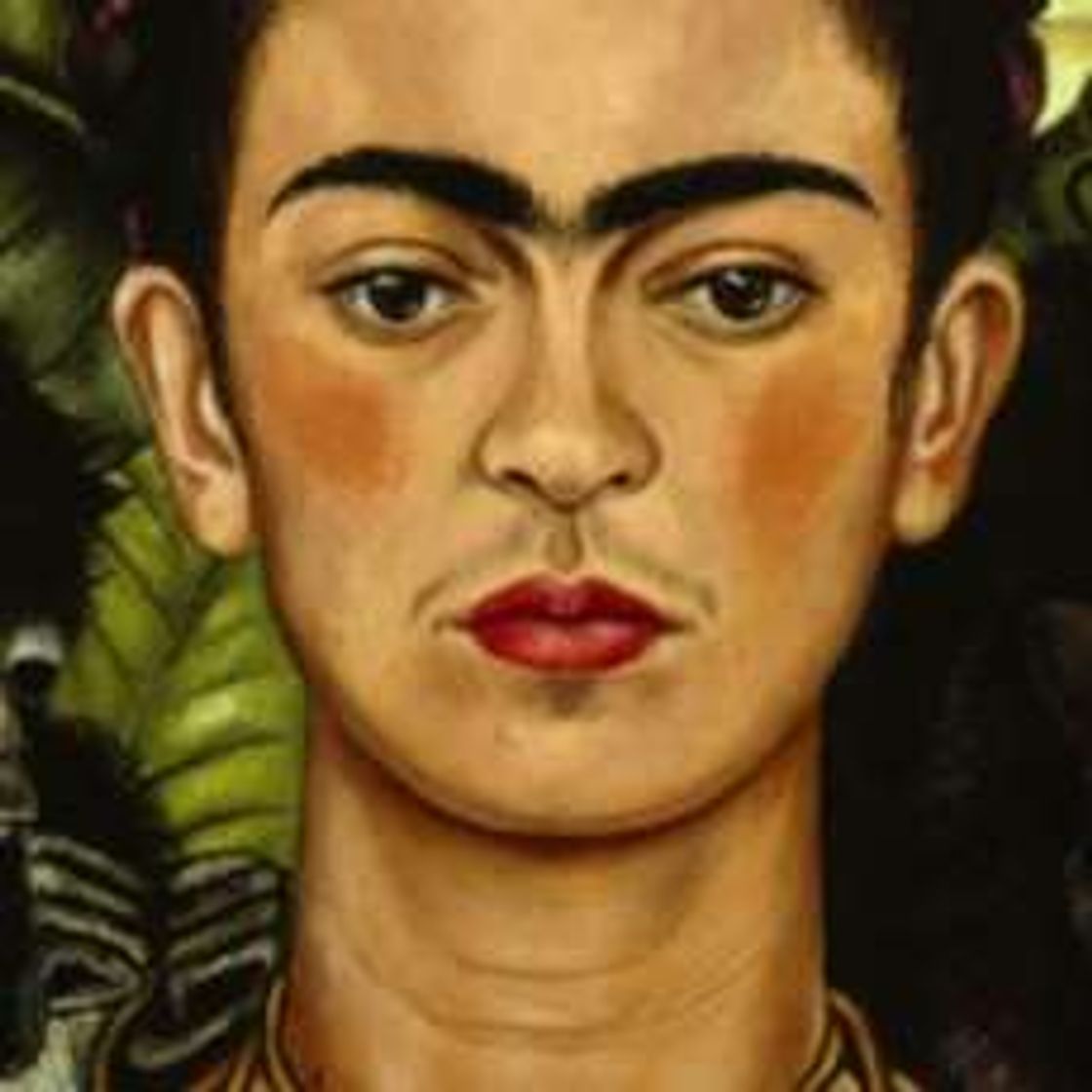 Película Frida Kahlo