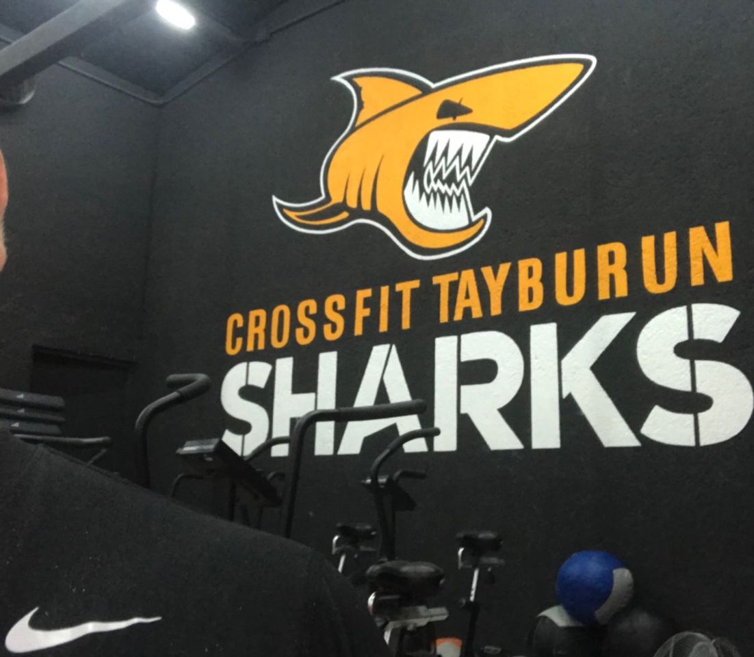 Place Crossfit Tayburun - Sharks - Photos | Facebook