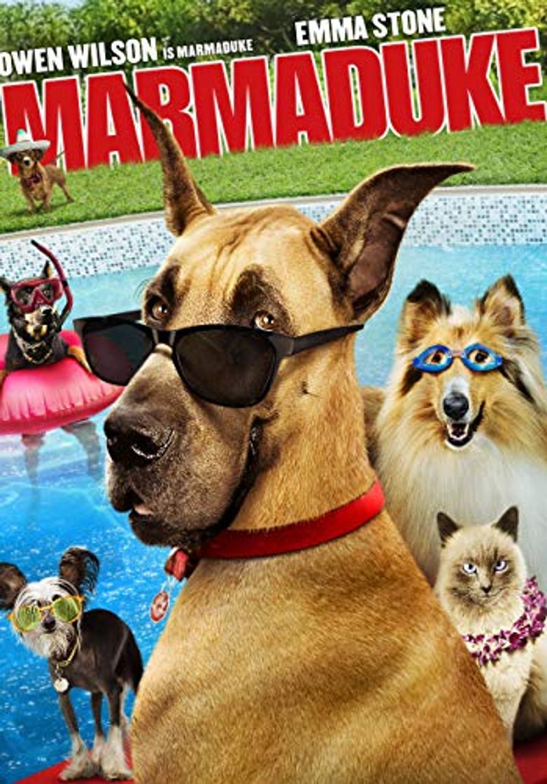 Productos Marmaduke