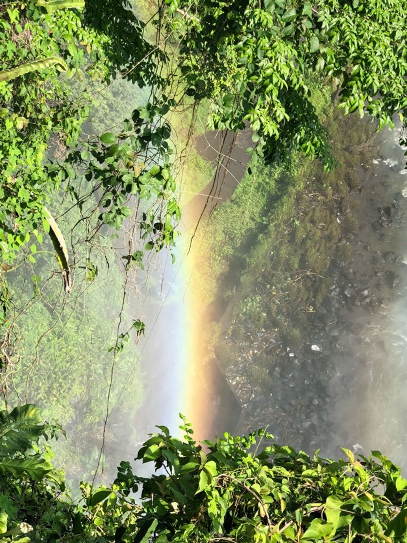 Place Cascada El Salto de Eyipantla