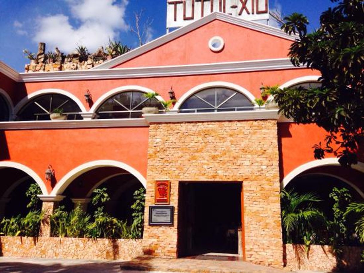 Restaurantes El Principe Tutul Xiu Ticul