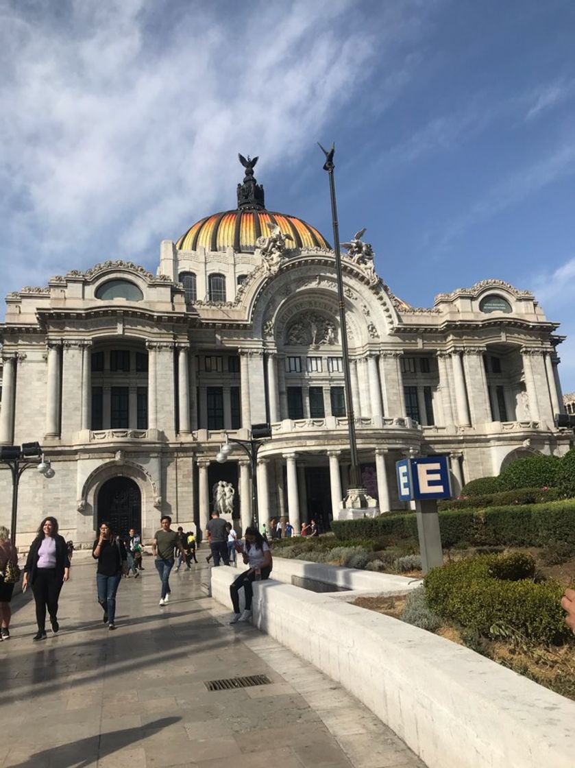 Place Palacio de Bellas Artes