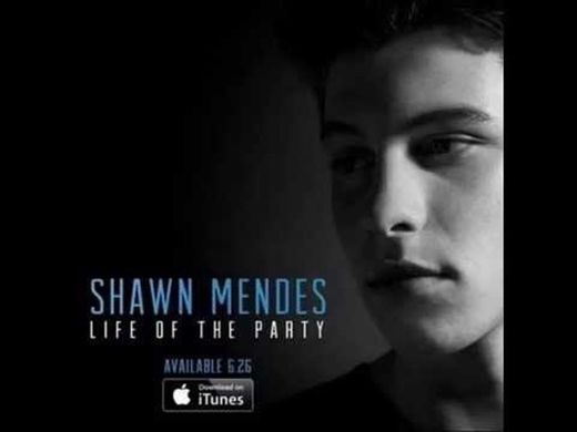 Shawn Mendes  - Life Of The Party 