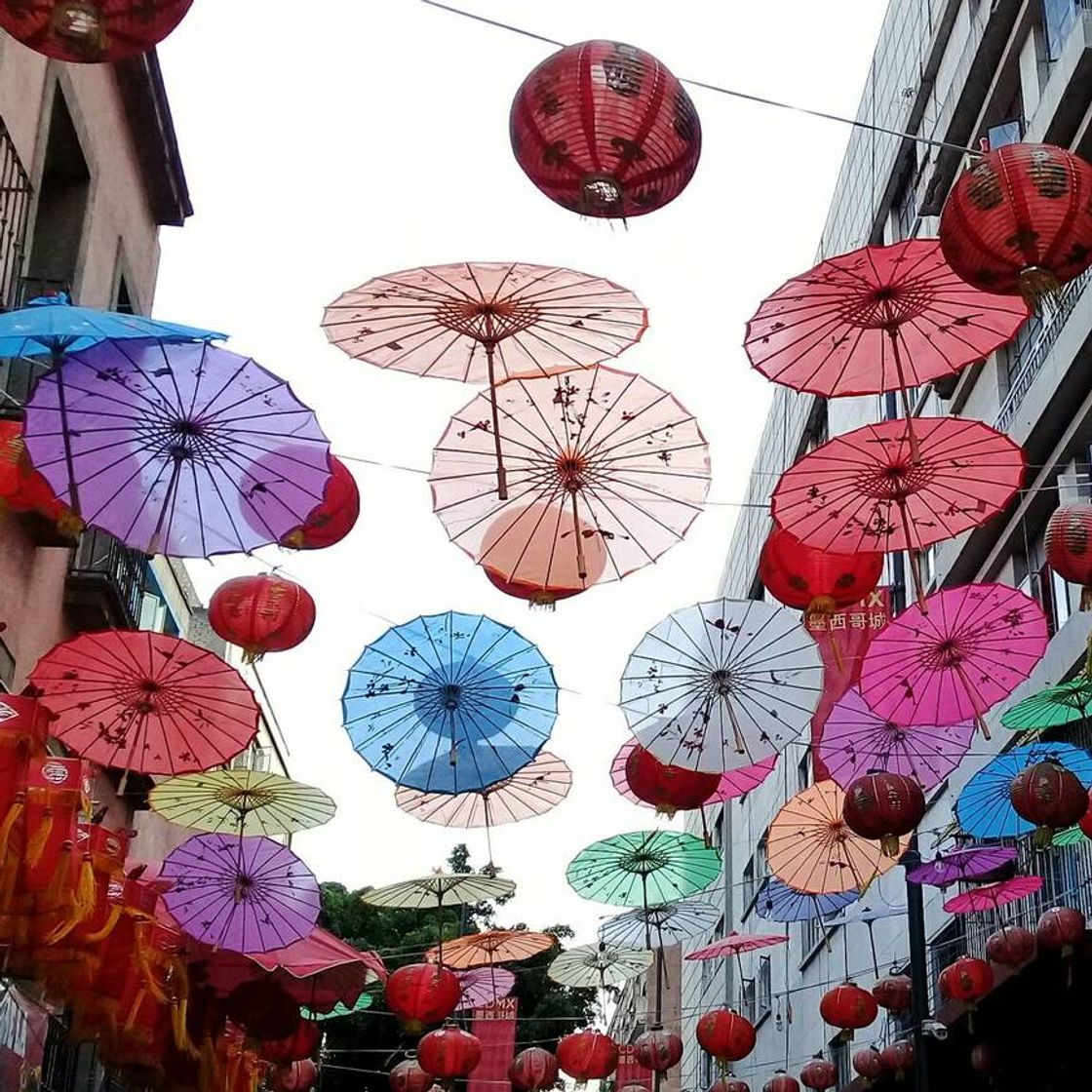 Barrio Chino