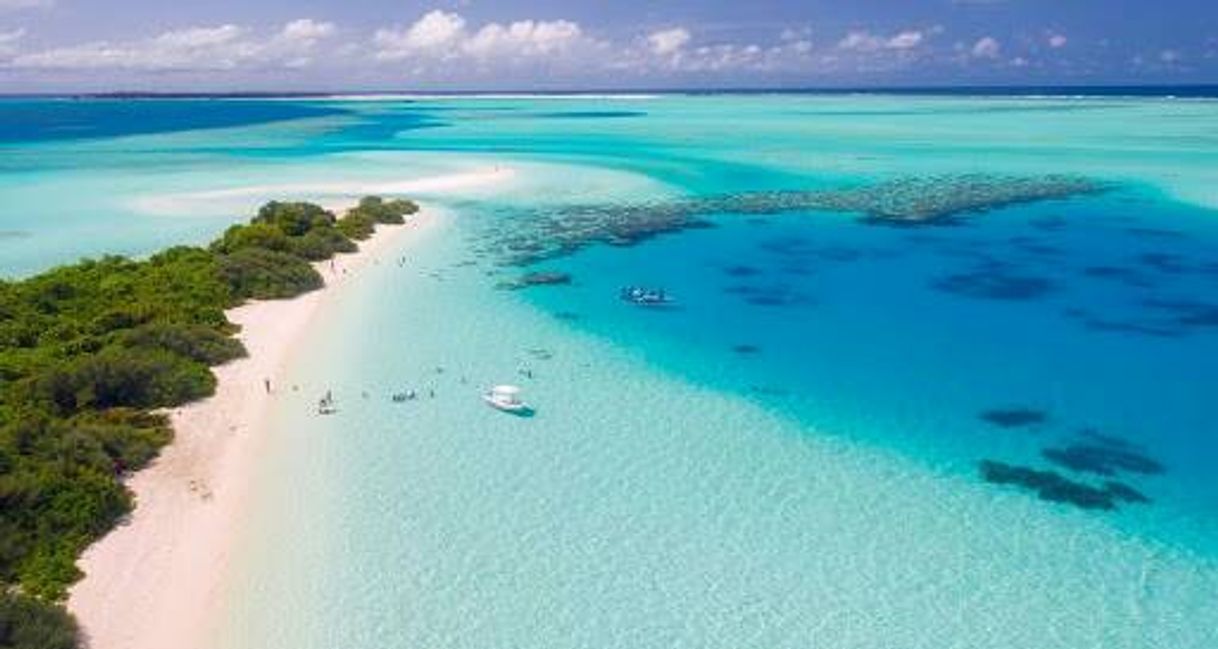 Place Los Roques