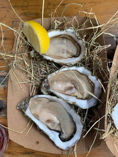 Galway Oyster House