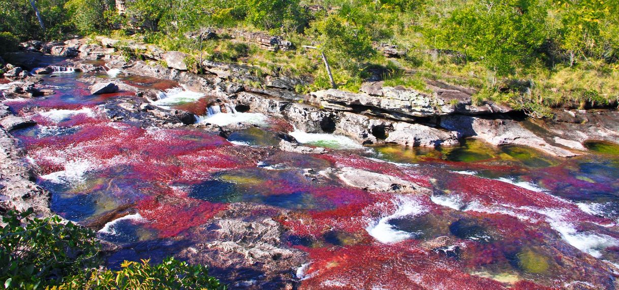 Place Caño Cristales