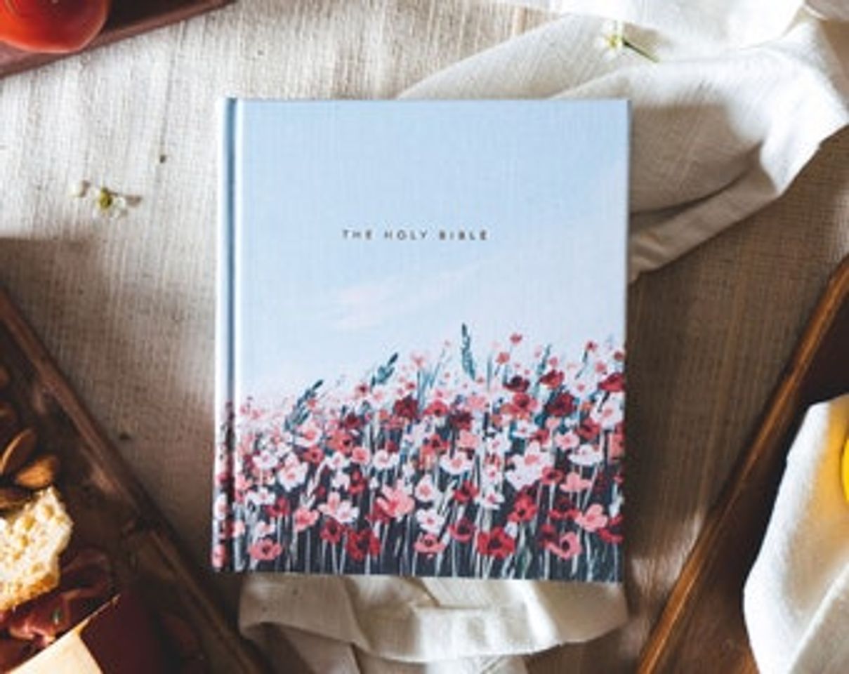 Moda ESV Journaling Bible: Provence Theme | Beautiful Bibles