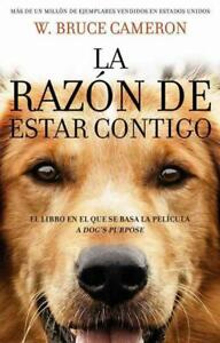 Libro La razón de estar contigo