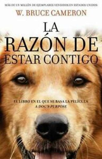 La razón de estar contigo