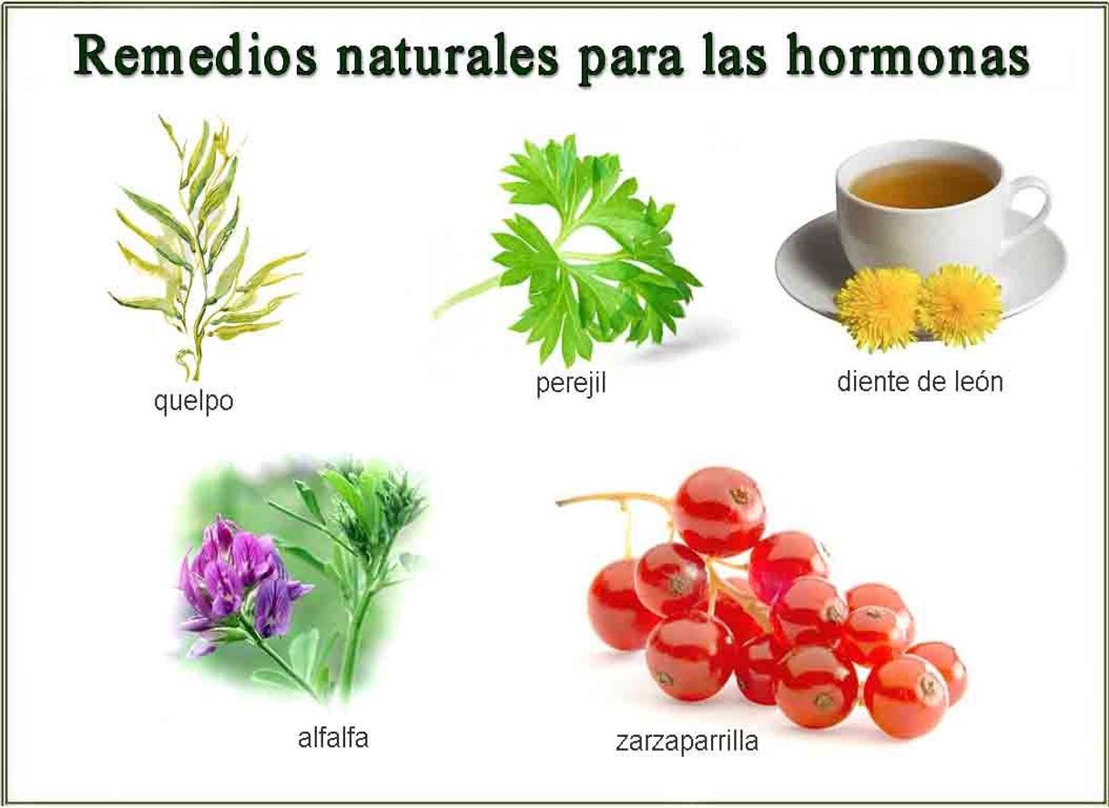 Social Medicinas naturales 