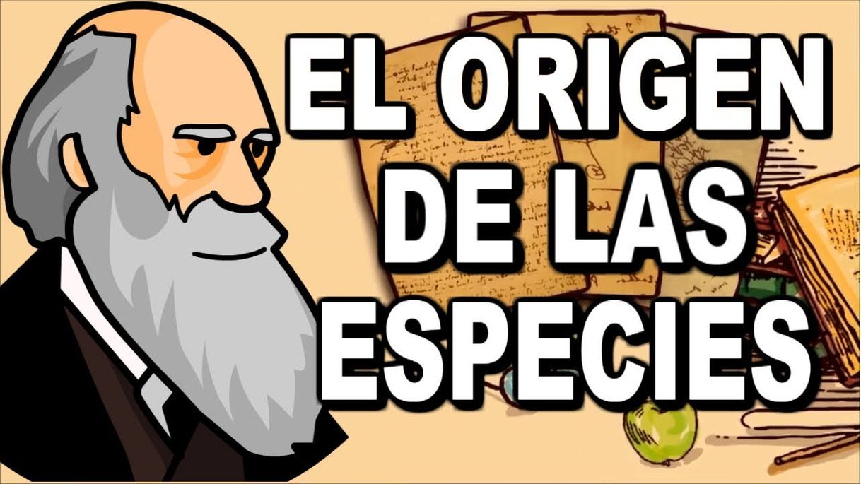 Moda La teoría de la evolución: El origen de las especies