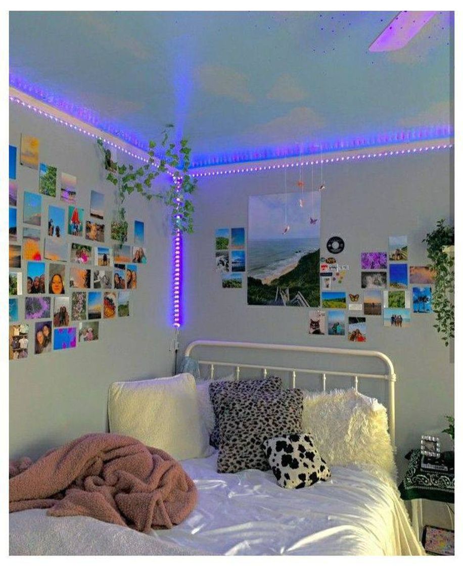 Social decoração indie