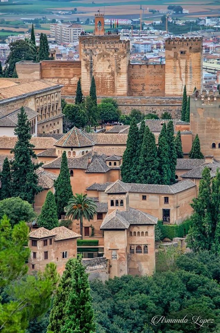 Lugar Alhambra de Granada