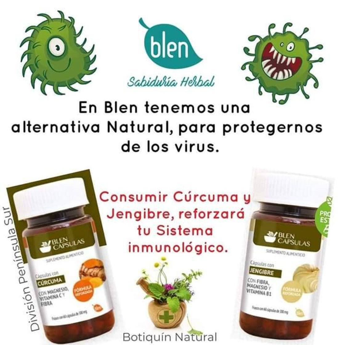 Fashion BLEN Planta en tu vida. Productos naturales mexicanos