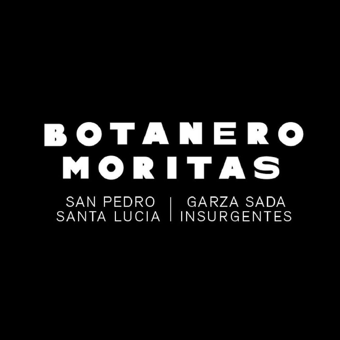 Restaurants Botanero Moritas San Pedro