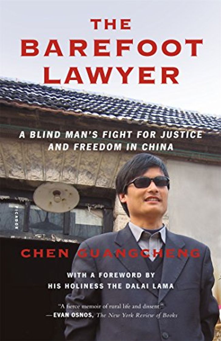 Libro BAREFOOT LAWYER