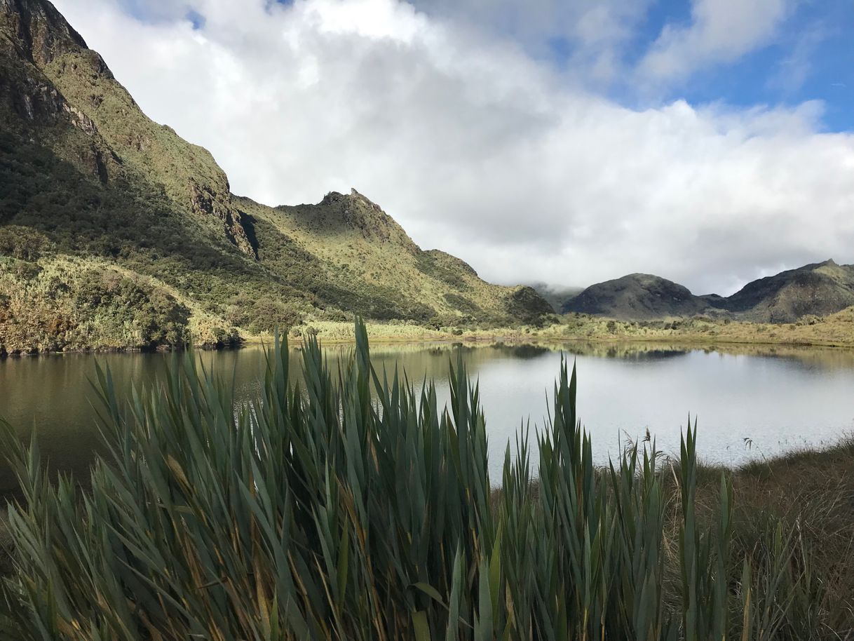 Places Cayambe Coca Ecological Reserve