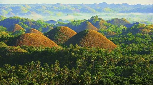 Chocolate Hills