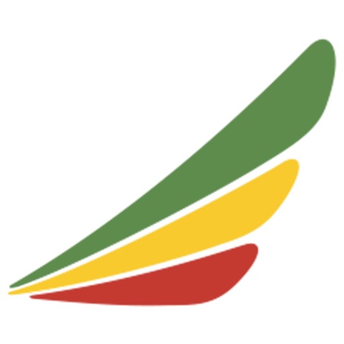 App Ethiopian Airlines