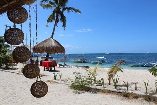 Malapascua Beach and Dive Resort