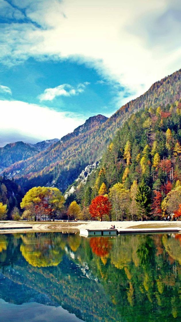 Social Puro baile jajajja