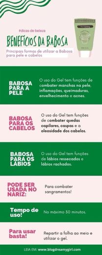 Benefícios da babosa 