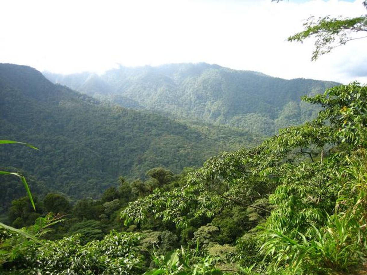 Lugares Braulio Carrillo National Park