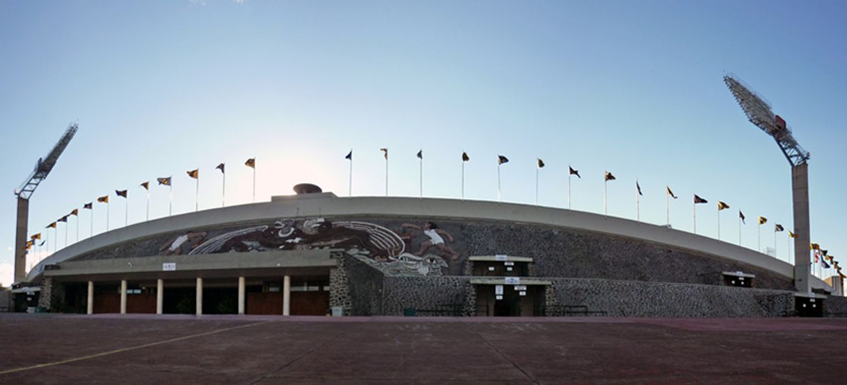 Place Estadio Universitario