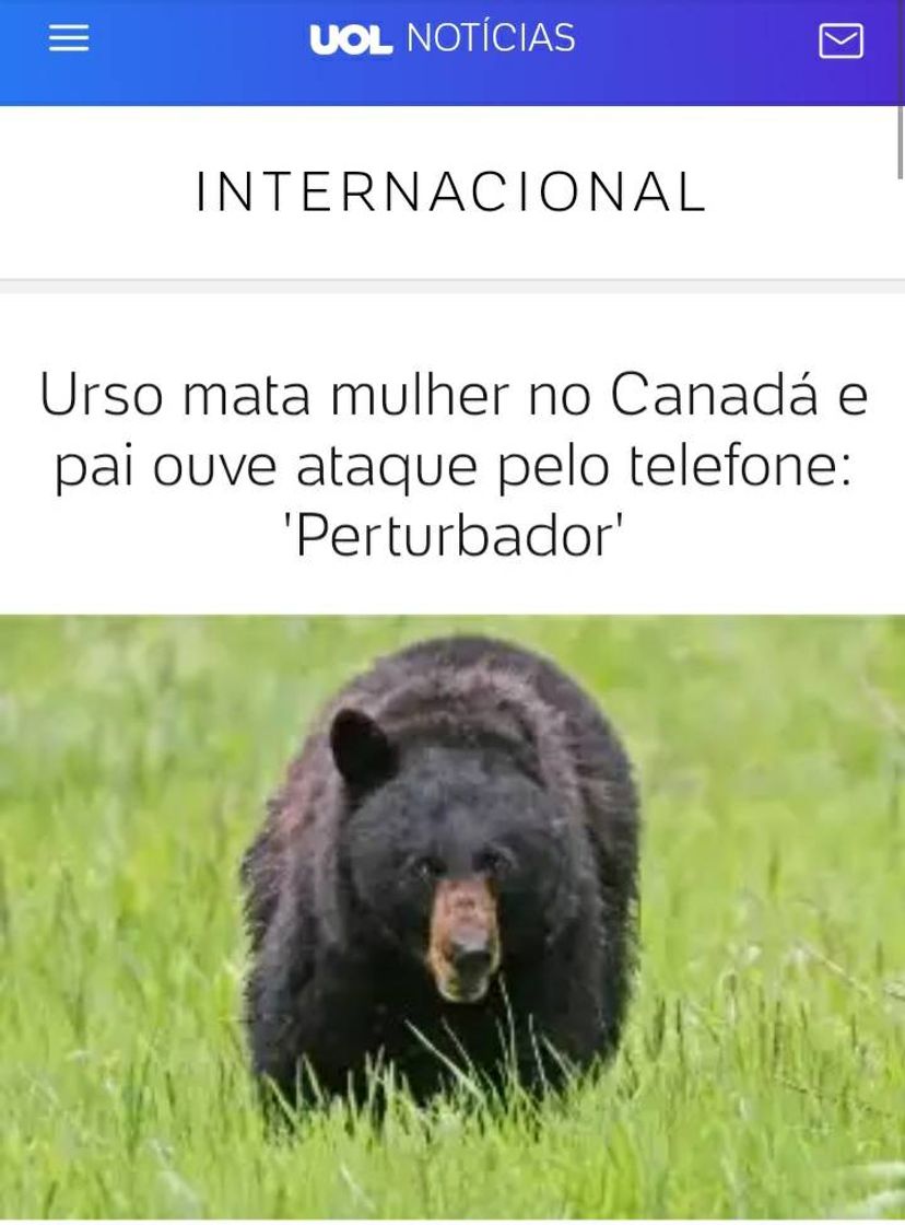 Moda Urso mata mulher no Canadá e pai ouve ataque pelo telefone