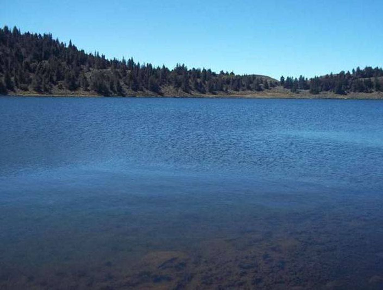 Place Laguna de Mucubají