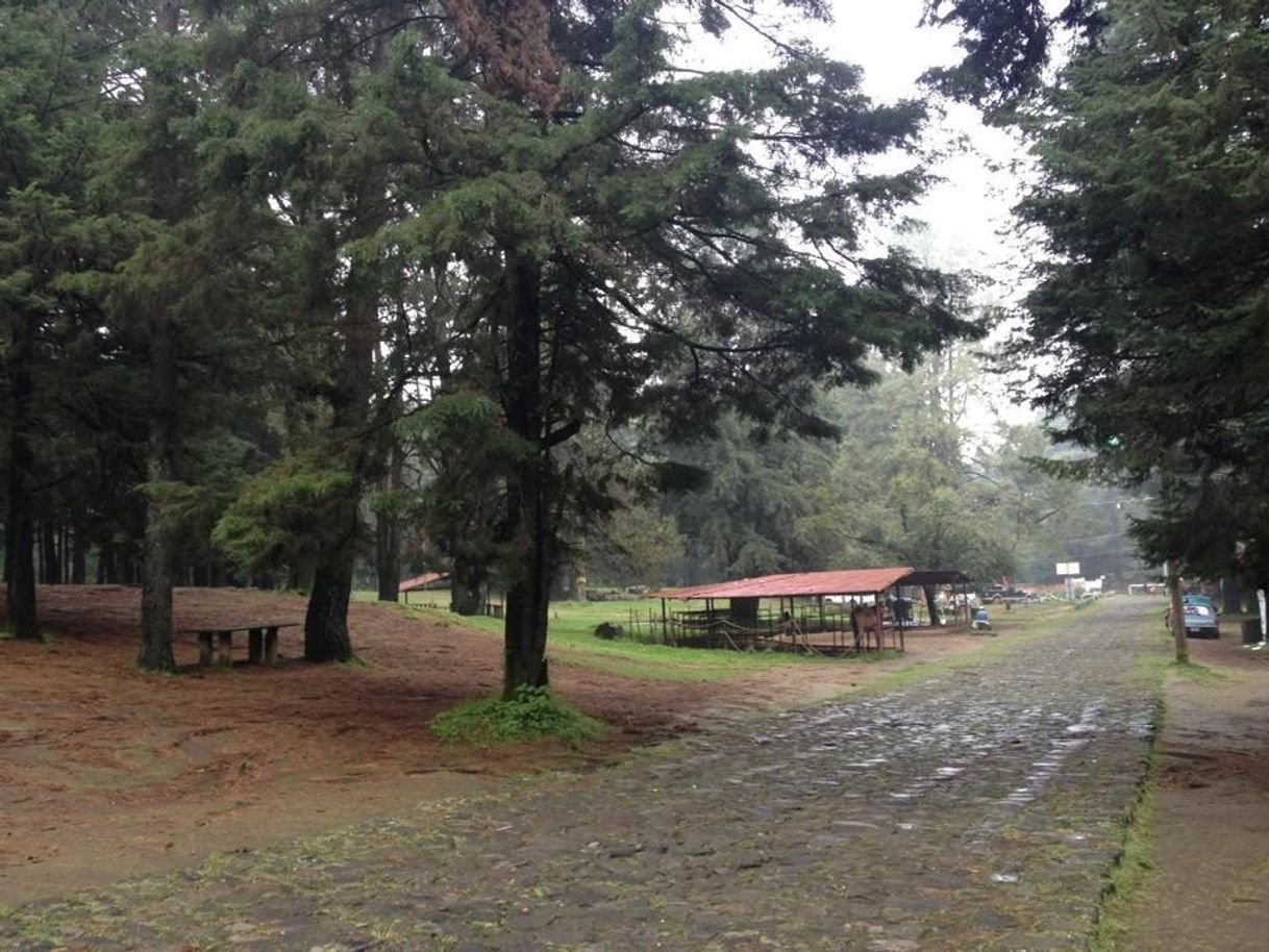 Lugar Parque Los Columpios