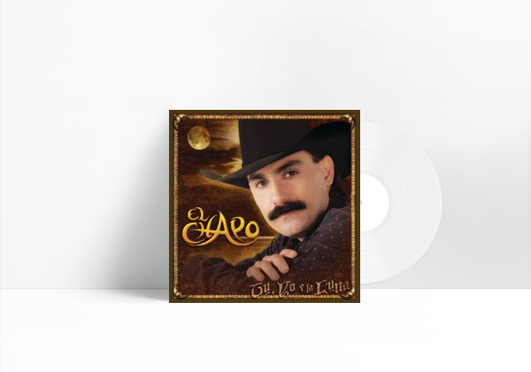 Canción Si Yo Fuera Ladrón