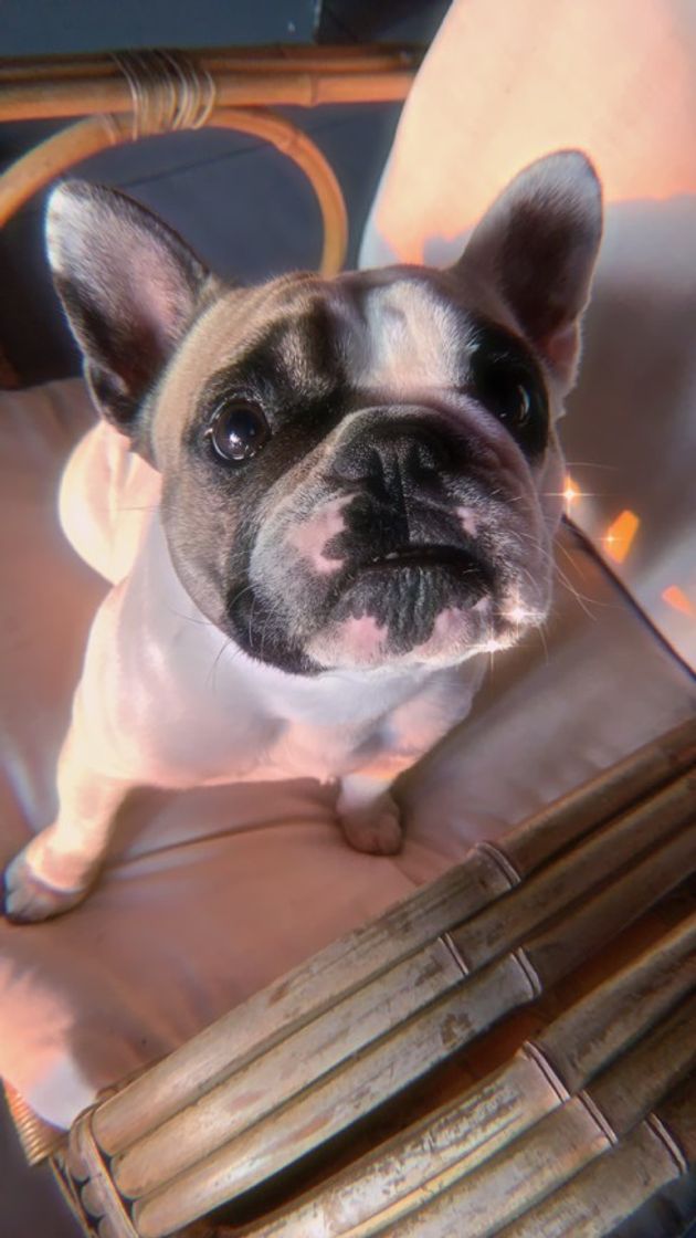 Social Maya🥺😍