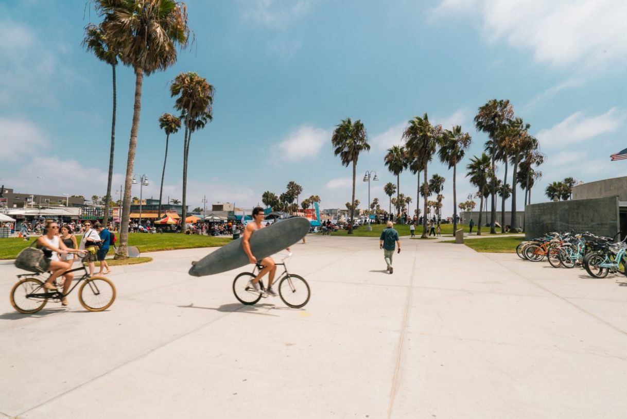 Place Venice Beach