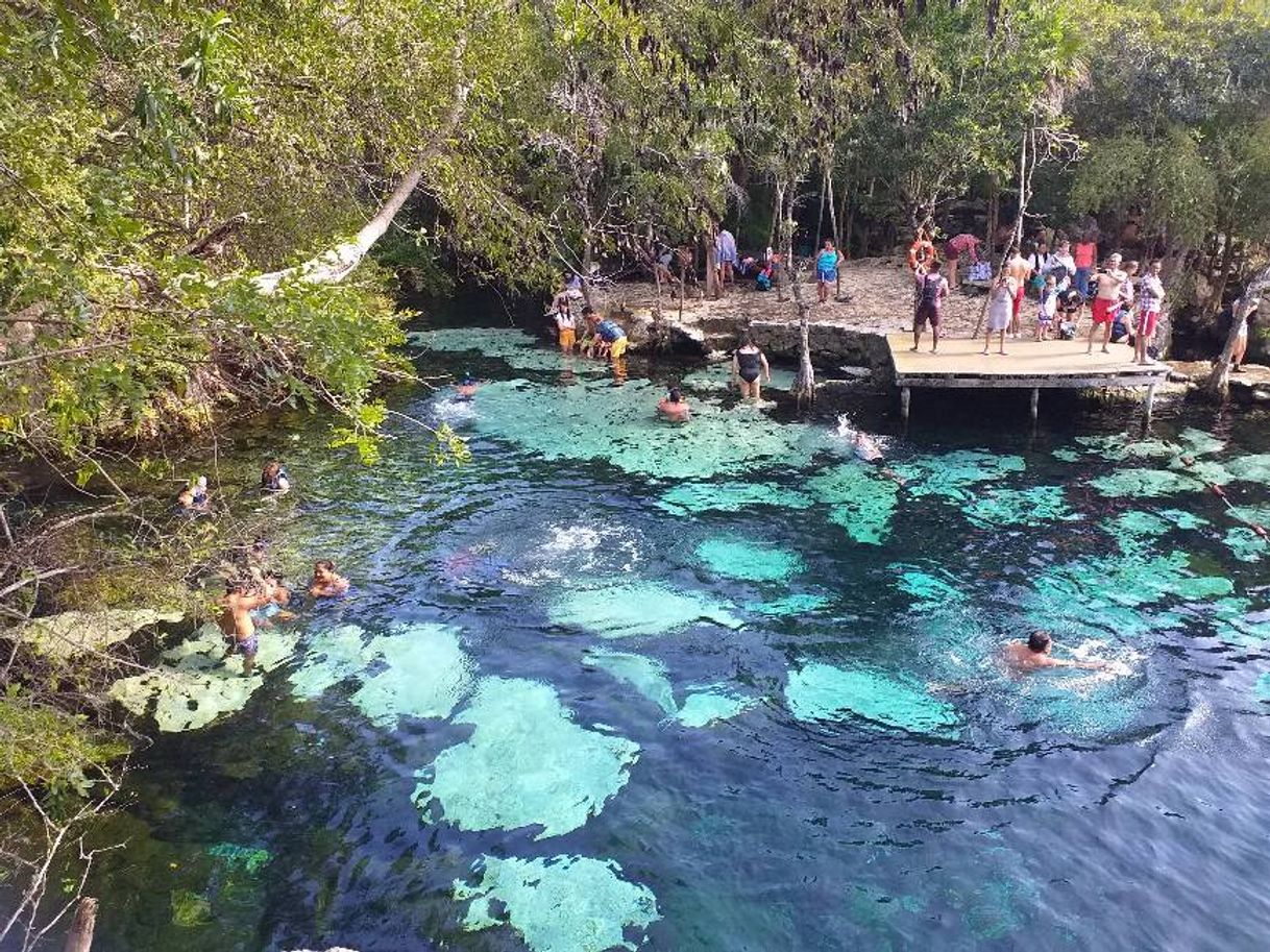 Lugar Cenote Azul