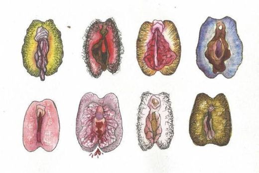 A doença da Vulva rosa e pequena